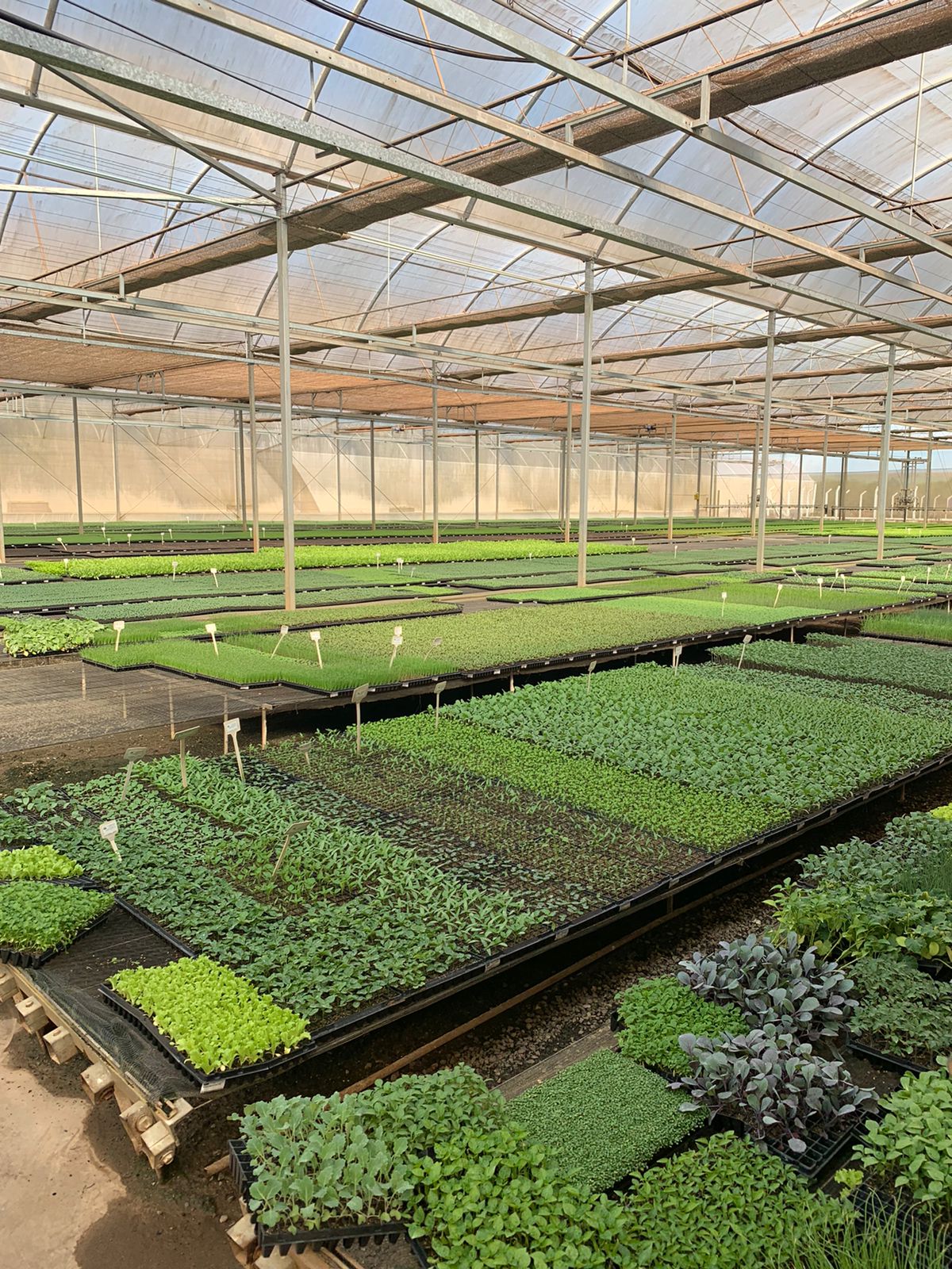 WhatsApp Image 2022-06-28 at 10.01.43 (1).jpeg